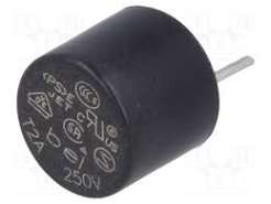RFT-2A SIGURANTA 2A 250VAC LENTA TR5 THT CUPRU