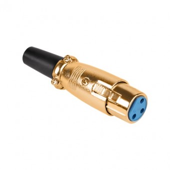 WTY0052 MUFA XLR MAMA GOLD