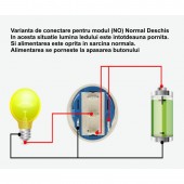 ALX-6D052 PUSH BUTON NEGRU 19MM/LED ALBASTRU