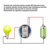 ALX-6D052 PUSH BUTON NEGRU 19MM/LED ALBASTRU