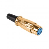 WTY0052 MUFA XLR MAMA GOLD